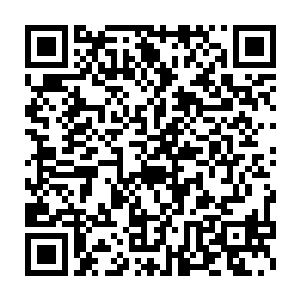 正在他们楼下窗前的那片菜园里精心照顾着他们所种的那一下片蔬菜二维码生成