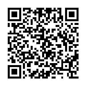 正在他思索着怎样才能引诱这些家伙暴露的时候二维码生成