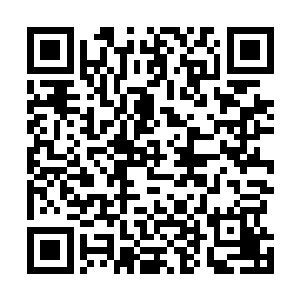 正在以一种十分恐怖的速度在这片空间中漫无目的的飞掠二维码生成