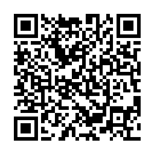 正在修葺施工的沿海开发区一点一点在视线里铺陈开来二维码生成
