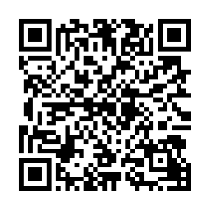 正在假装喝水却竖起耳朵观战的闻人照听到姐姐的这句话二维码生成