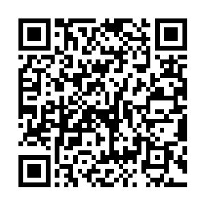 正在兴高采烈地往木板上捆绑猎物的阿乌族勇士一起看向他二维码生成