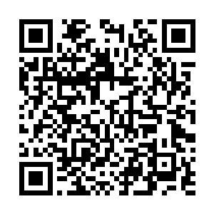 正在办公室里查看公司报表的张东城接到了布莱兹的电话二维码生成