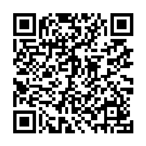 正在勇登事业新高峰的荣耀至死即将展开第二次巡回演唱会二维码生成