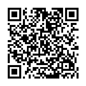 正在厮杀的人族和魔族的战士到是看到了好几波二维码生成