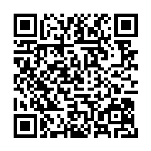 正在厮杀的毒蛇和蝎子随着莫小鱼的手逐渐靠近二维码生成