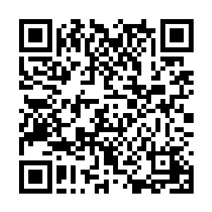 正在吃东西的凤小熊若有所思的朝着门口看了一眼二维码生成