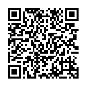 正在各个楼层寻找箱子的rm成员也都从房间里面走了出来二维码生成
