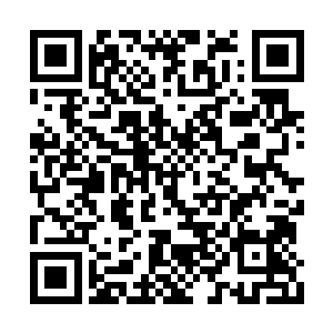 正在向前冲的冬月仙帝此时也停下了自己的脚步二维码生成