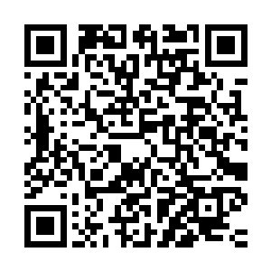 正在吸引着秦方体内的血液不断的往这个四象乾坤鼎上流淌过去二维码生成