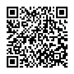 正在呼啸奋战的夏威尔突然发现皇宫的防御能量膜突然一下减弱二维码生成