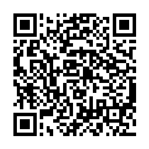 正在和七宗罪以及不死军团鏖战的人类部队顿时松了口气二维码生成