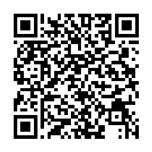 正在和其他岩蚁兽交战的姜尧和常明注意到冷轩面对的危机二维码生成