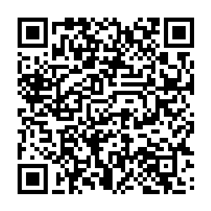 正在和木莎聊天聊地开心的卢屹星就感觉到有什么东西距离自己越来越近二维码生成