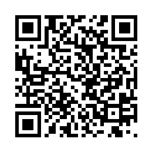 正在和羽讨论着家来来的计划的杨晨二维码生成