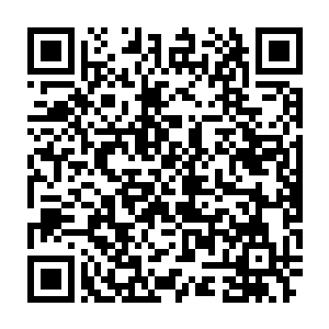 正在图书馆的丁羽也是被蕾切尔的这个话给问的有那么一些目瞪口呆二维码生成