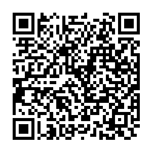 正在城外庄园里寻找蛛丝马迹并安排搜寻的布华听说严默竟拔得头筹二维码生成