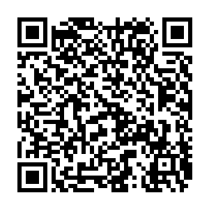 正在大厅商讨祭祖事宜的许言和许家的一些长老目光猛地朝着门口方向看去二维码生成