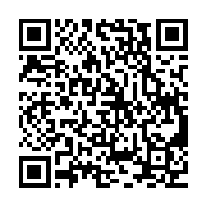 正在将从空间裂缝中扯另一个迫的手臂被梓箐用三昧真火打断二维码生成