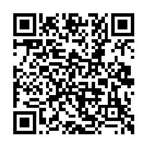 正在尽量委婉含蓄解释取消缘由的副校长呆了呆二维码生成