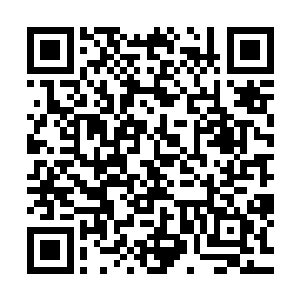 正在庄园树梢上欢叫跳跃的一群麻雀很快就扑着翅膀飞了下来二维码生成