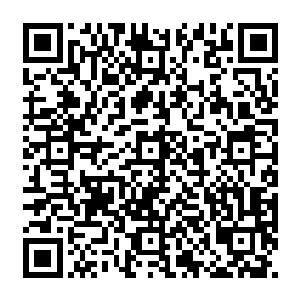 正在开车的壮硕男王强看着后照镜上突然出现的一道就算是化成灰都能够认出来的身影二维码生成