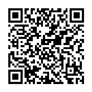 正在我忍不住有点着急的时候白奇雪的声音忽然响了起来二维码生成