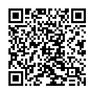 正在我考虑要不要问一声的时候白奇雪似乎回过了神来二维码生成