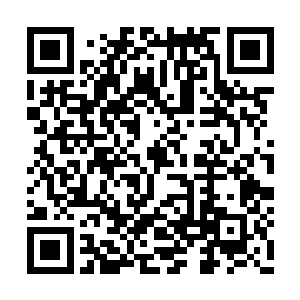 正在摆弄那珍宝级花瓶的老人头也不抬地回答道二维码生成