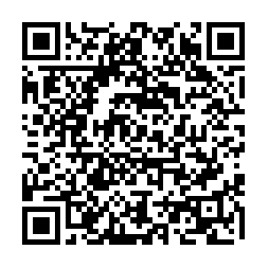 正在树屋上收拾的男男女女看着来人前进的方向都不由自主的站起来默默的看着二维码生成