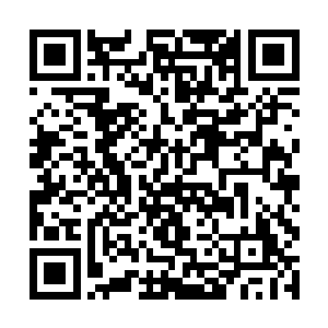 正在漆黑的夜里为它的主人而绽放着摄人心魄的光芒二维码生成