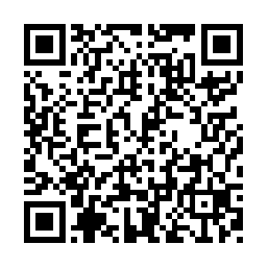 正在激战中的三大派弟子哪扛得住如此高手偷袭二维码生成