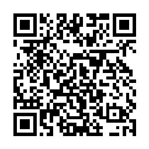 正在炼制丹药的人都在各自的密室空间里面炼制丹药二维码生成