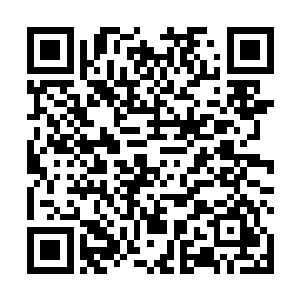 正在田地里耕种的农民们好奇地抬头看着马车飞奔而过二维码生成