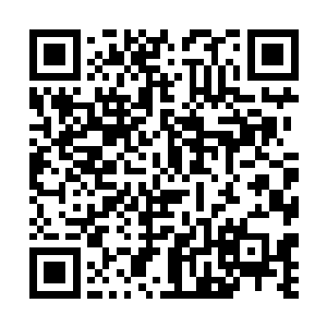 正在看张卫善团队对第一块完整版ufb液晶屏进行测试二维码生成