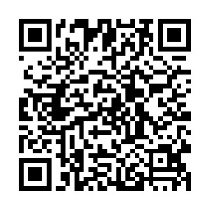 正在给战马铡草的憨牛和猴子也看到了半山腰的信使二维码生成