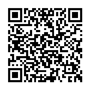 正在行进中的冲云殿弟子注意到后面冲来的妖兽二维码生成