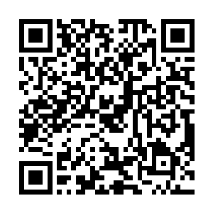 正在记录的雷鸣和何力两个人不约而同的抬起了自己头二维码生成