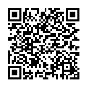 正在距离黑鳖精地盘水域五千里左右的地方仔细的搜寻而过二维码生成