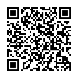 正在跟啸月至尊和暴熊至尊战斗金鹏至尊脸色猛地一变二维码生成