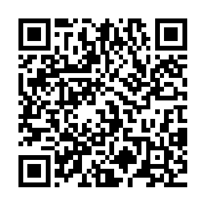 正在跟风沁雪和陆青战斗的两个人心中顿时也更加的慌乱起来二维码生成