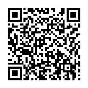 正在运行的轻轨就那样毫无先兆地停止在了隧道中二维码生成