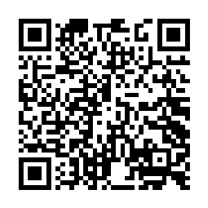 正在这个时候一直躲在幕后的那个韩小龙走了出来二维码生成