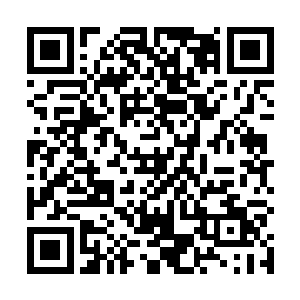 正在进攻杨风身体的地心神焰本源核心看到这样的情形二维码生成