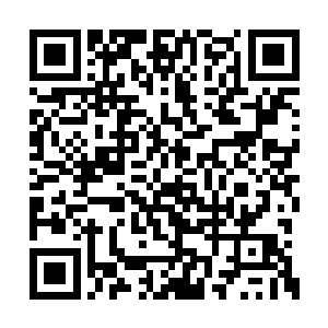 正在逃跑的豹女却是一个治疗术将血量回了上来二维码生成