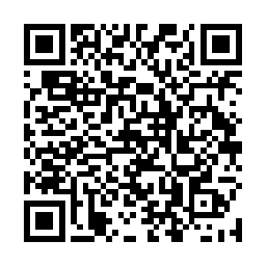 正在那几个人还犹豫矛盾着这个时候要不要举手的时候二维码生成