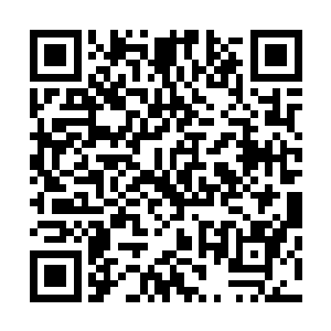 正在院中凝神画符的一众弟子被突然撞开的大门给吓了一跳二维码生成