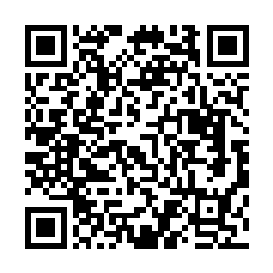 正在骑士圈子里的怀远堂的穆雨和通州钱家的长老都停止了二维码生成