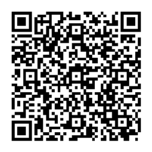 正在高空之上看棋的熊孩子却是忽然偷笑着拿出了从瑶光宫凌音手中得到的四叶草二维码生成