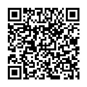 正大口大口吃着天材地宝的小白虎似乎听懂了剑尘的话二维码生成